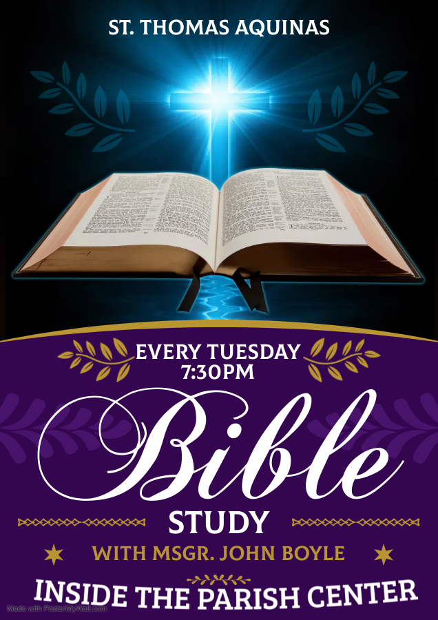 BIBLE STUDY POSTER 2022